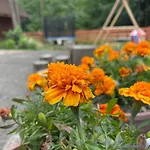 Caloroczny Zagroda Mlynski Appartamento Sułkowice