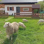 Appartamento Caloroczny Zagroda Mlynski Sułkowice