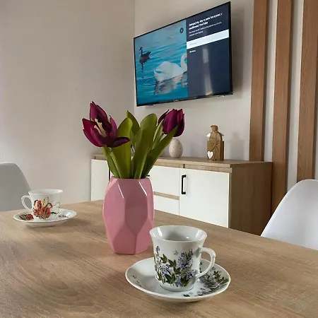 Caloroczny Zagroda Mlynski * Sułkowice