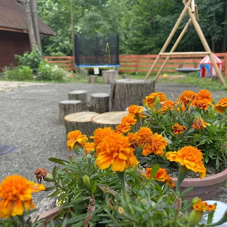 Caloroczny Zagroda Mlynski * Sułkowice