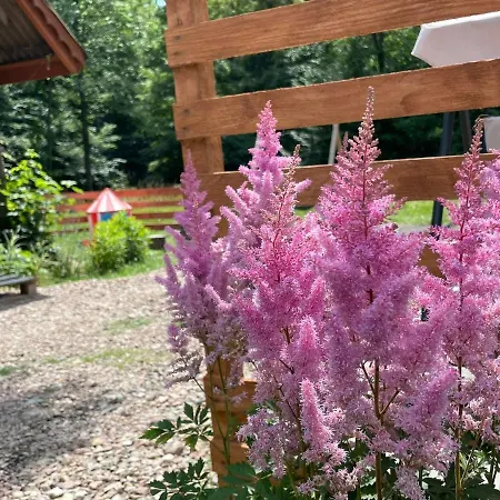 Caloroczny Zagroda Mlynski *