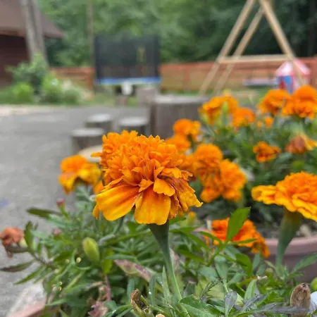 Caloroczny Zagroda Mlynski Daire Sułkowice