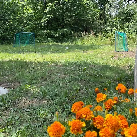 Daire Caloroczny Zagroda Mlynski *