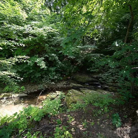 Caloroczny Zagroda Mlynski 公寓 Sułkowice