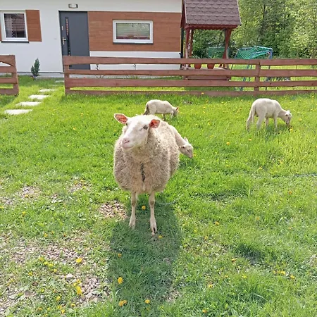 Caloroczny Zagroda Mlynski Sułkowice