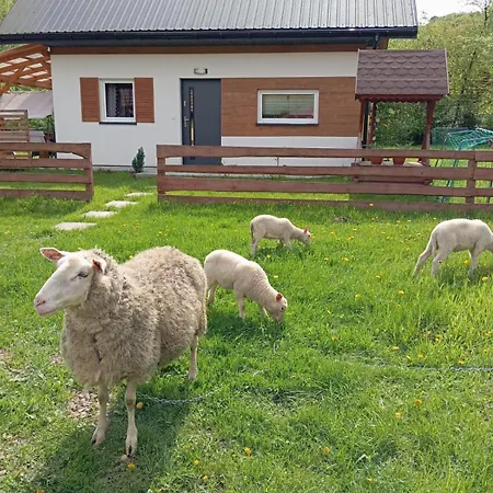 Daire Caloroczny Zagroda Mlynski Sułkowice