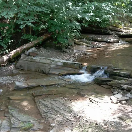 Caloroczny Zagroda Mlynski *