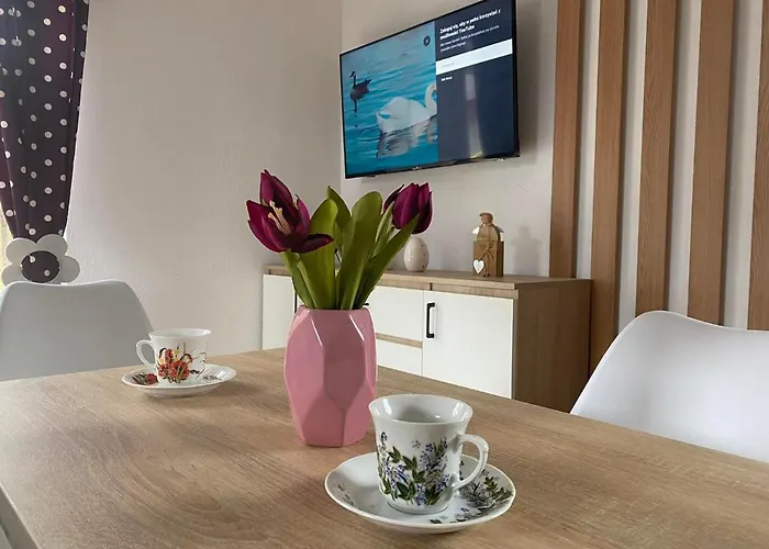 Caloroczny Zagroda Mlynski * Sułkowice