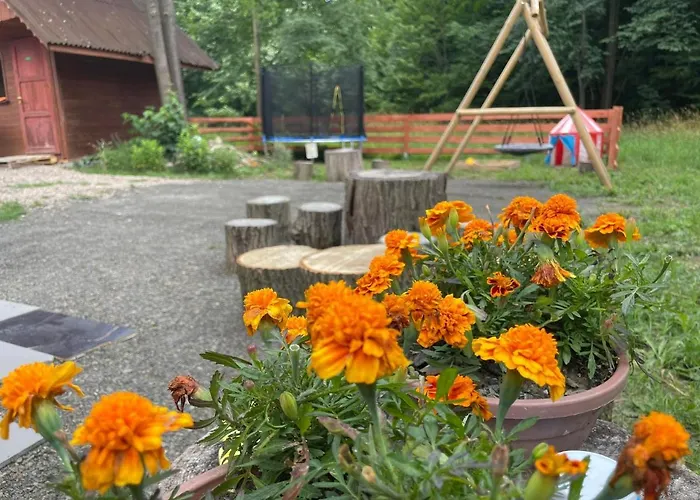 Caloroczny Zagroda Mlynski * Sułkowice