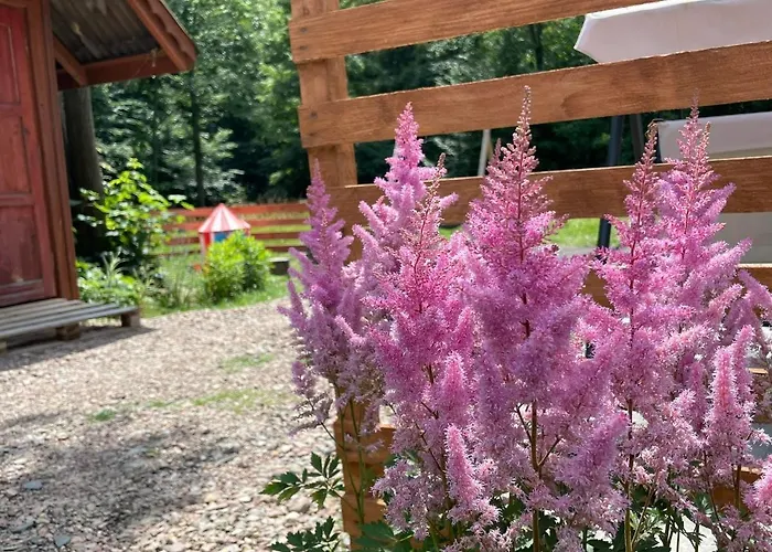 Caloroczny Zagroda Mlynski *