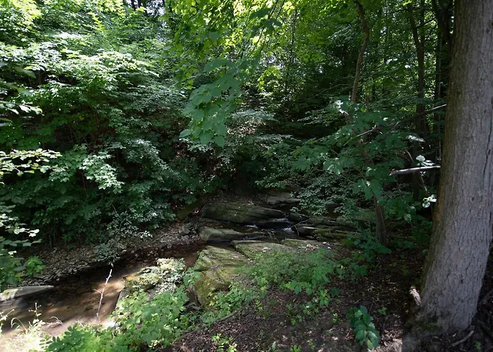 Caloroczny Zagroda Mlynski *