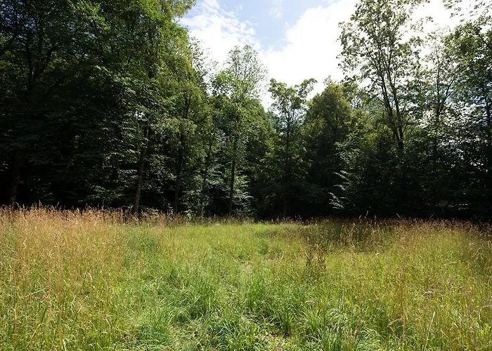 Caloroczny Zagroda Mlynski Sułkowice