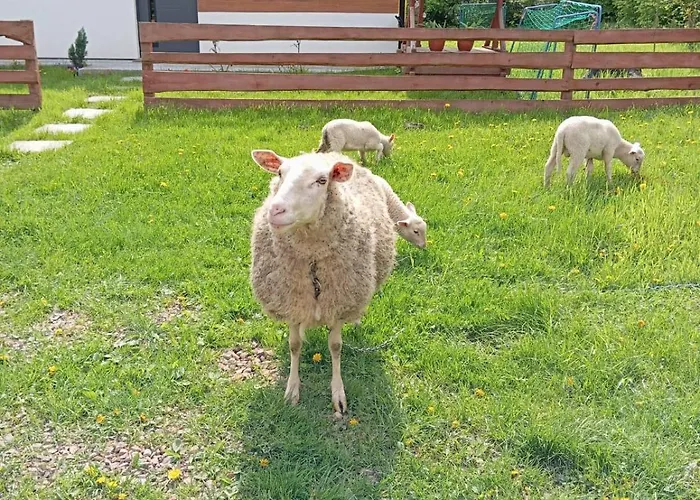 Caloroczny Zagroda Mlynski Sułkowice