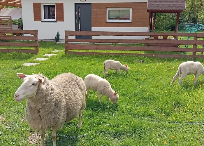 Appartamento Caloroczny Zagroda Mlynski Sułkowice