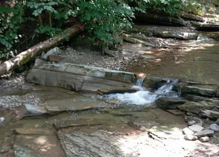 Caloroczny Zagroda Mlynski *